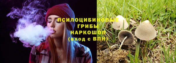 не бодяженный Михайлов