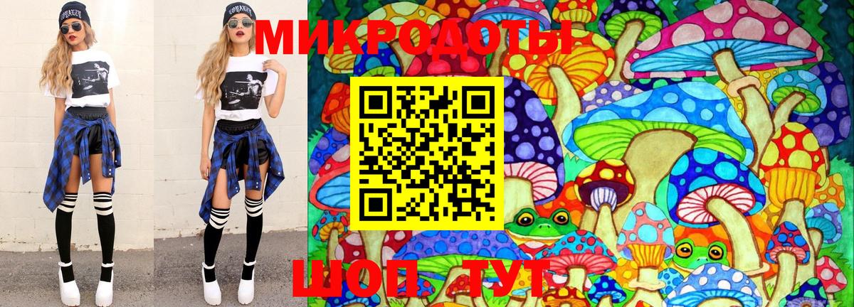 Псилоцибиновые грибы Psilocybe Приморско-Ахтарск