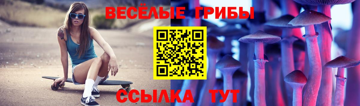 что такое наркотик  Вход с VPN  Приморско-Ахтарск  Псилоцибиновые грибы MAGIC MUSHROOMS 